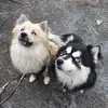 Chris Eady - @chris.eady2 - TikTok