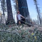 Chris Eakins - @eakins_tree_and_outdoors - Instagram