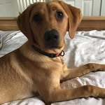 Chris Eales - @chriseales30 - Instagram