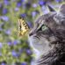 Christine Eales - Facebook