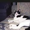 Christine Eastham272 - @christineeastham2 - TikTok