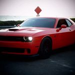 Chris Ecker - @mangokitty1 - Instagram