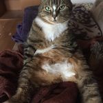 Chris Eckert - @c_eckert2002 - Instagram