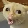 Chris Eckert - @chris.e.361 - TikTok