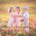 Chris Edelman - Facebook
