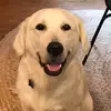 Chris Eeles - @chriseeles - TikTok
