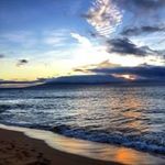 Chris Eggleton - @chris_egg11 - Instagram