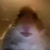 christianeglin - @christianeglin - TikTok