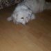 Christine Ehinger - Facebook
