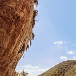 Christian Ehlert - @christianehlertmx - Instagram