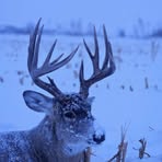 Chris Ehresmann - Facebook