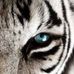 Chris Ehret - Facebook