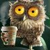 Christiane Ehrke - Facebook