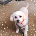 Christine Ehrke - Facebook