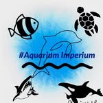 Aqurium - @christoph.eichenberger.9066 - Instagram