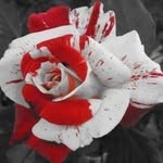 Christine Eichenberger - @christine.eichenberger.14 - Instagram