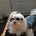 Chris Eichler - Facebook