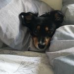 Christel Teichner - @cchristelteichner1977 - Instagram