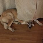 Mel Eichorst - @melchristensen - Instagram
