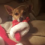Christopher - @chris_eidson - Instagram