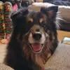 chriseiker441 - @chriseiker441 - TikTok
