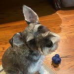 Chris Eiland - @chris.eiland - Instagram