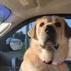 Chris Eiland - @chris.eiland - TikTok