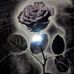 Chris Eimer - Facebook