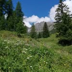 Christine Einfalt-Winder - @christi_ew - Instagram