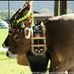 Christian Eisenhut - Facebook