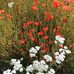 Christina Eisenhut - Facebook