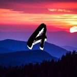 Christian Eisenmann - @archive_draws - Instagram