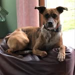 Chris Fix Eisenmenger - @chris_fix_eisenmenger - Instagram