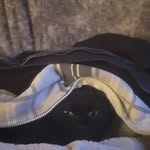 Chris Eklund - @vladdracul85 - Instagram