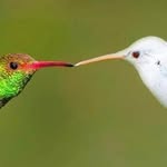 Chris Eklund - @chris7467 - Instagram