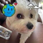 Christine Elcock - @_chrisntina - Instagram