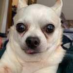 Chris Elder - @pisss_master - Instagram