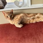 Chris Eldredge - @chris.h.eldredge - Instagram