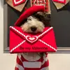 christineelledge - @pnwsheepiesanddoodles - TikTok