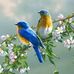 Chris Ellen - Facebook