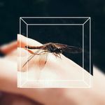 Chris Ellen - @c.h.r.i.s_e.l.l.e.n - Instagram