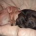 Kris Ellenburg - Facebook