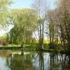 christineaellerbeck09 - @christineaellerbeck09 - TikTok