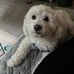 Christine Ellerman - Facebook
