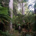 Chris Ellery - @biggun64 - Instagram