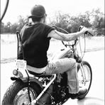 Chris Elliott - Facebook