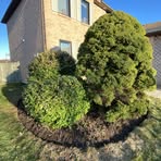 Chris Elliston - Facebook