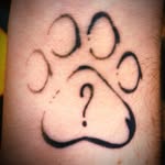 Chris - @chris_el_mapache2 - Instagram