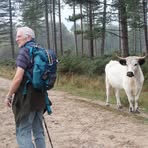 Chris Elsdon - Facebook
