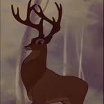 @chris_el_venado - Instagram